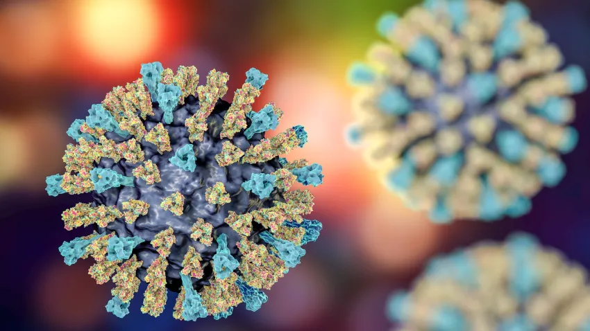 measles illustration